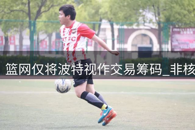 篮网仅将波特视作交易筹码 非核心建队人选